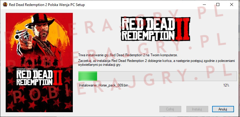 red dead redemption 2 instalator 5